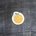 Set of 3 Ripe & Ready Pop up Sponges